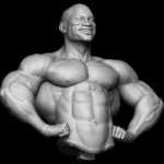 Anatomia